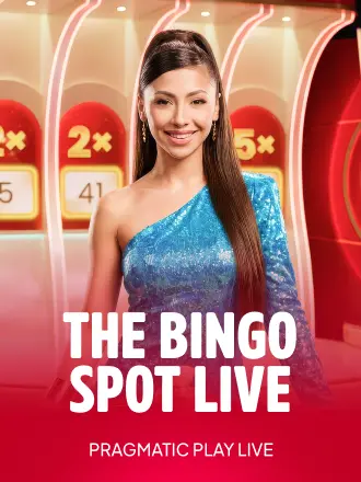 The Bingo Spot